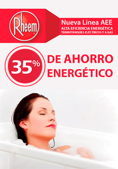 termotanques rheem